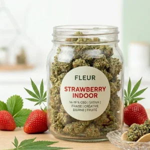 🇨🇭 Fleur CBD Strawberry Indoor 14-19 % : sativa fraise créative diurne fruité