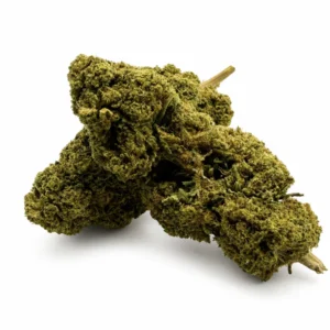 Fleur CBD Amnesia Indoor 14 -19 % - La sativa citronnée