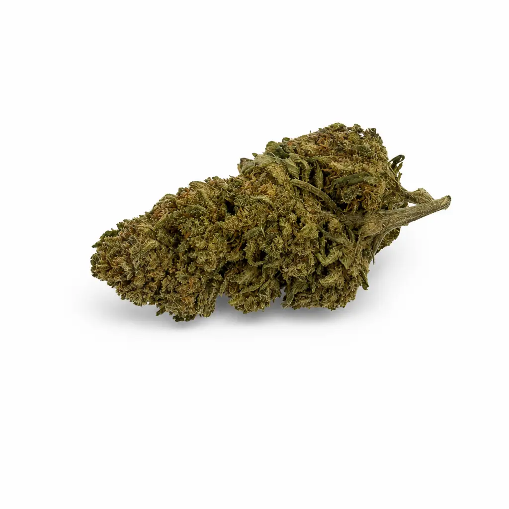 Fleur CBD Berry Cream Indoor 14 -19 % - hybride fruité crémeux