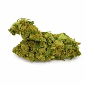 Fleur CBD Cherry Indoor 14 -19 %&nbsp; parfum cerise mûre et baies rouges