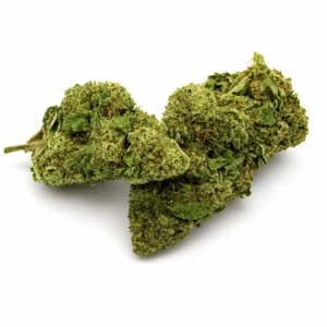Fleur CBD Mango Kush Indoor 14 -19 % - hybride tropical fruité