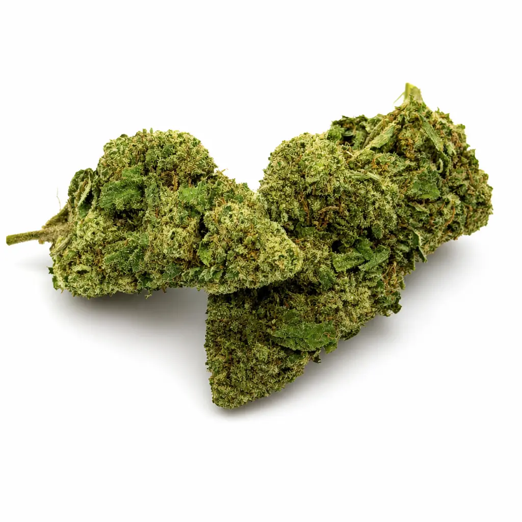 Fleur CBD Mango Kush Indoor 14 -19 % - hybride tropical fruité